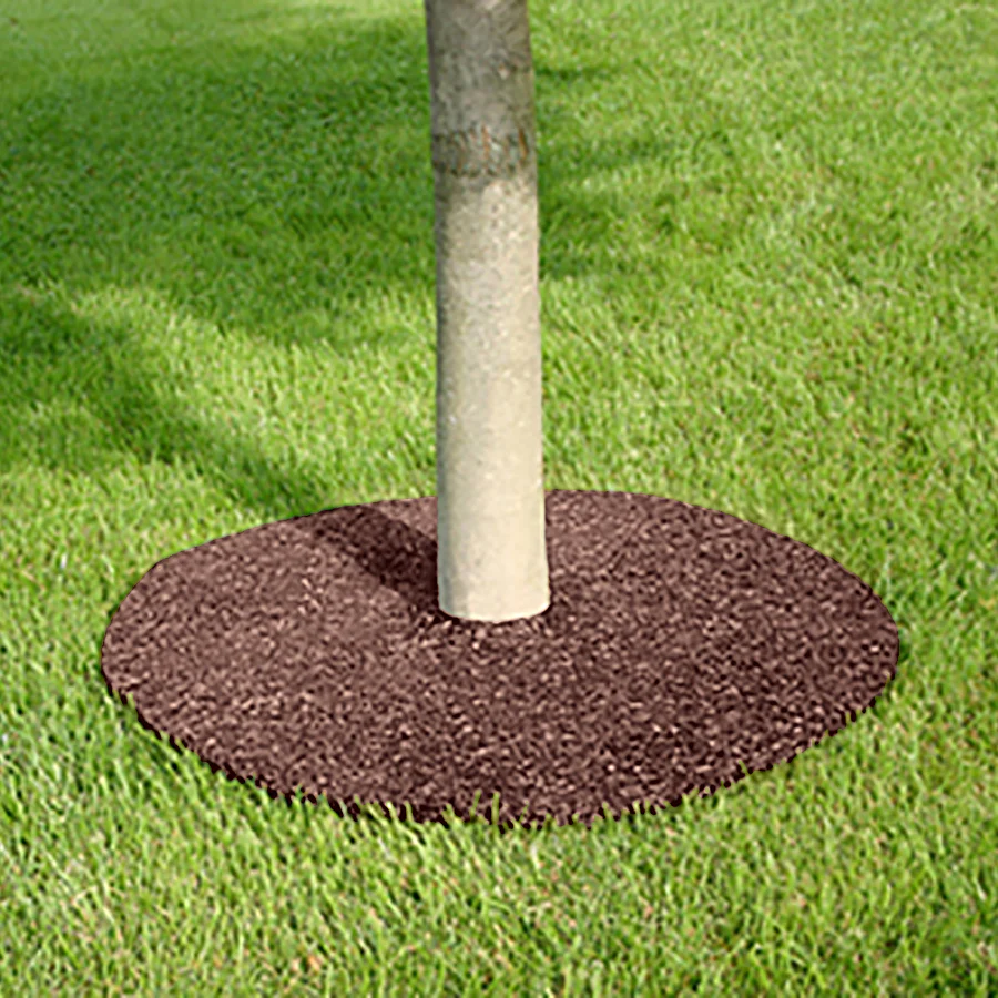 24" Rubber Tree Ring - Image 10