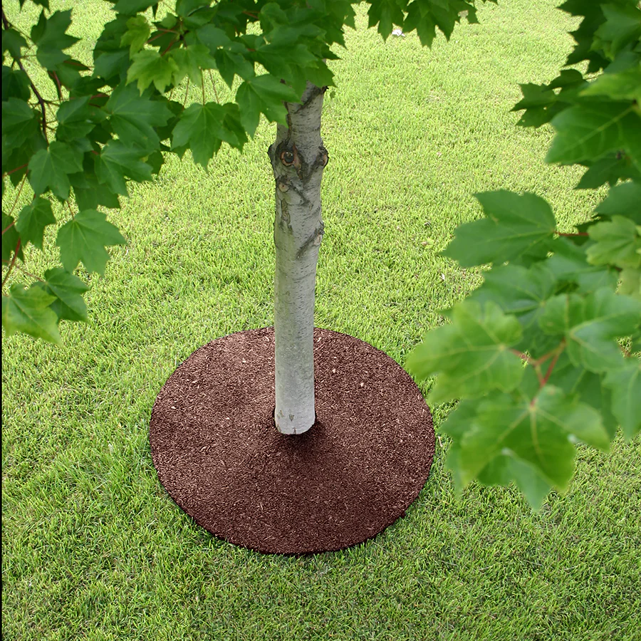 24" Rubber Tree Ring - Image 11