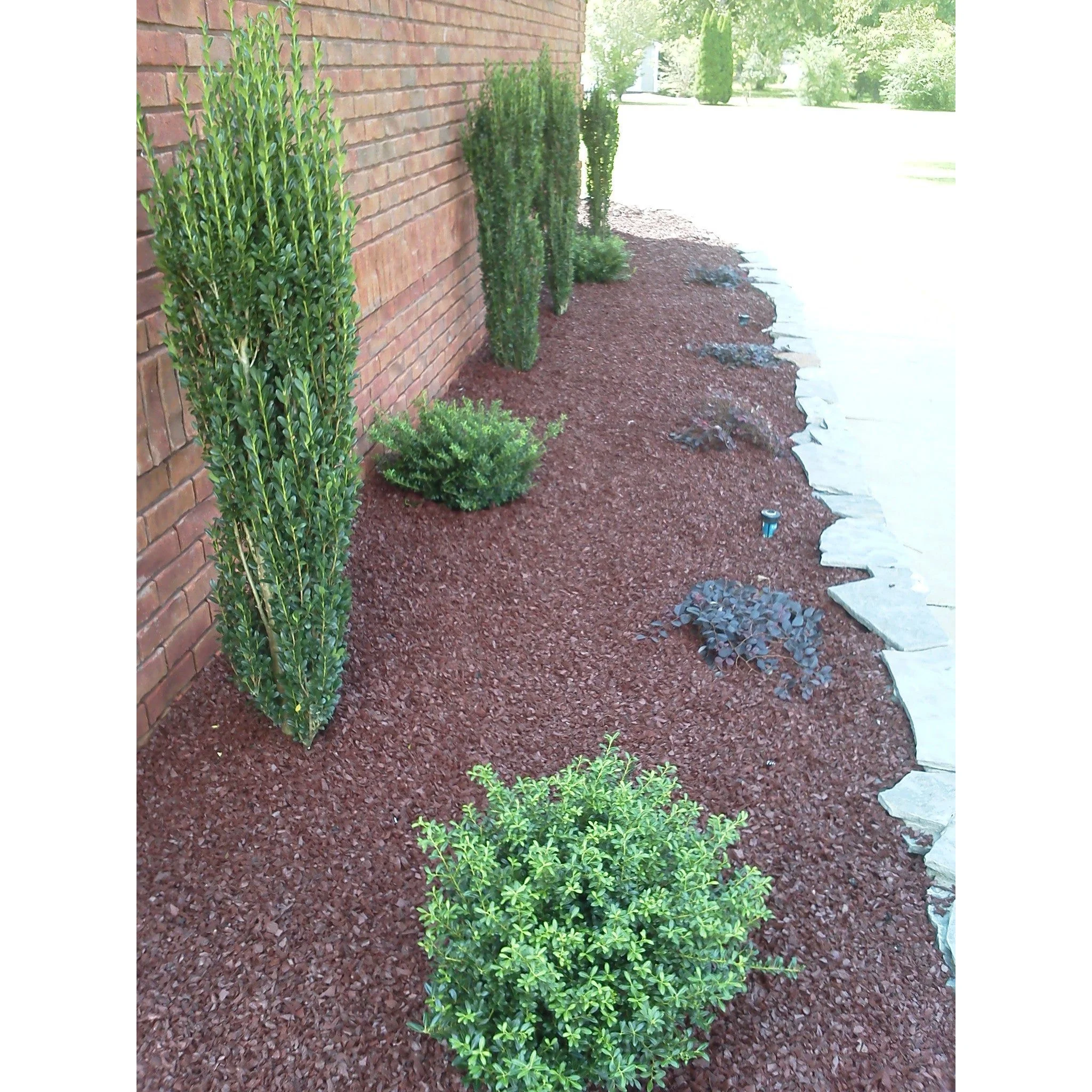 Landscape Rubber Mulch | Cocoa Brown - Image 3