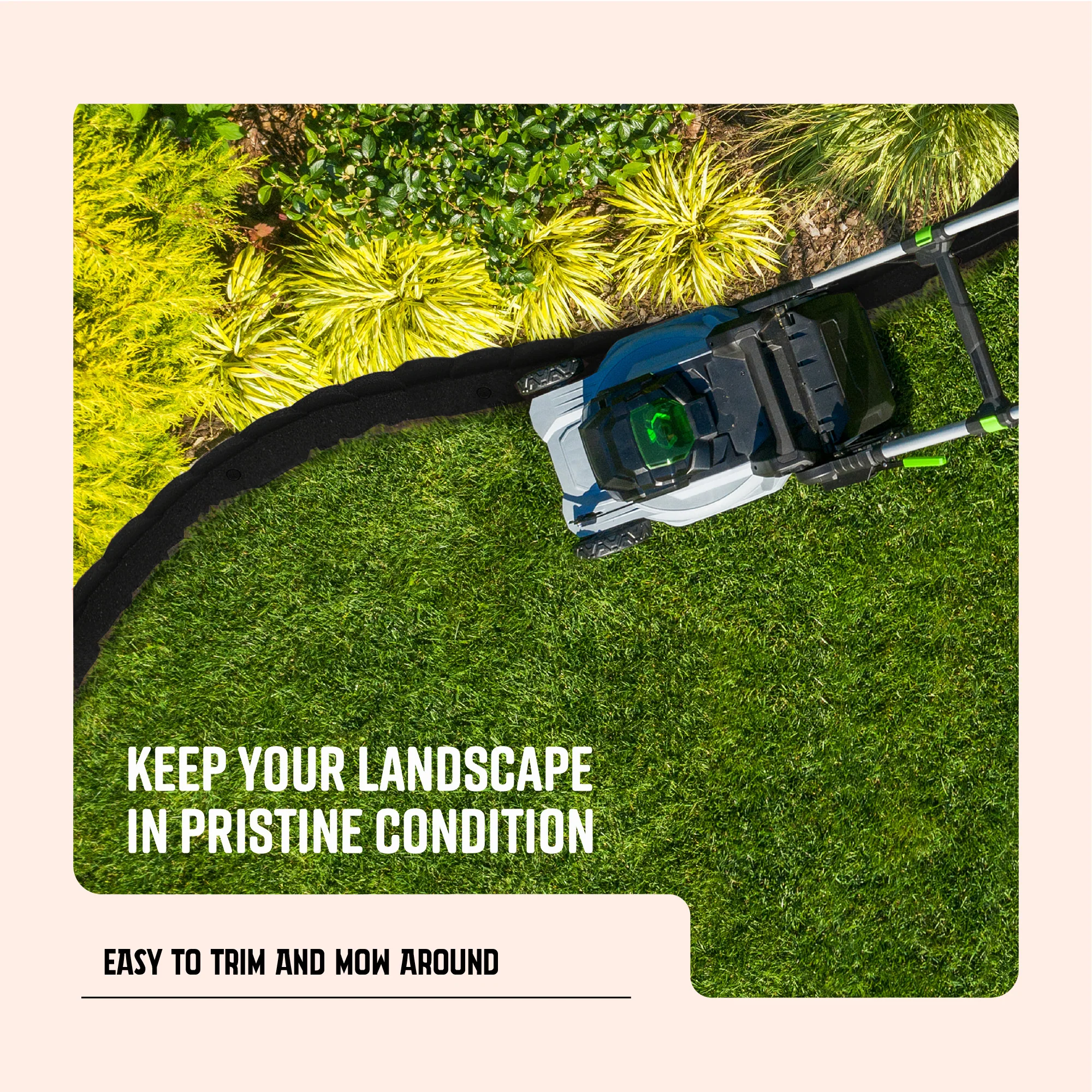 L Shape Rubber Border- Scalloped - Image 11